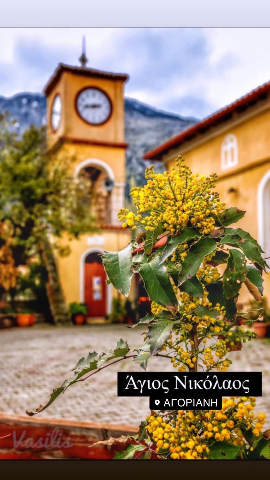 Asimina Guesthouse, Eptalofos Parnassos 외부 사진