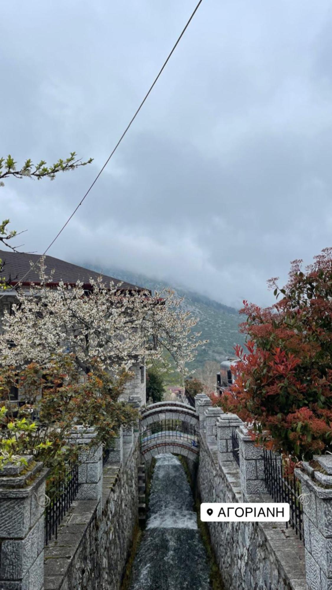 Asimina Guesthouse, Eptalofos Parnassos 외부 사진
