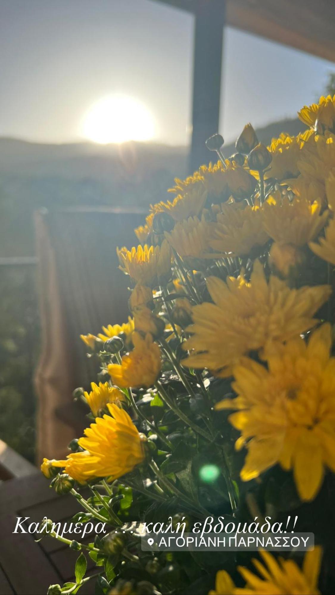 Asimina Guesthouse, Eptalofos Parnassos 외부 사진