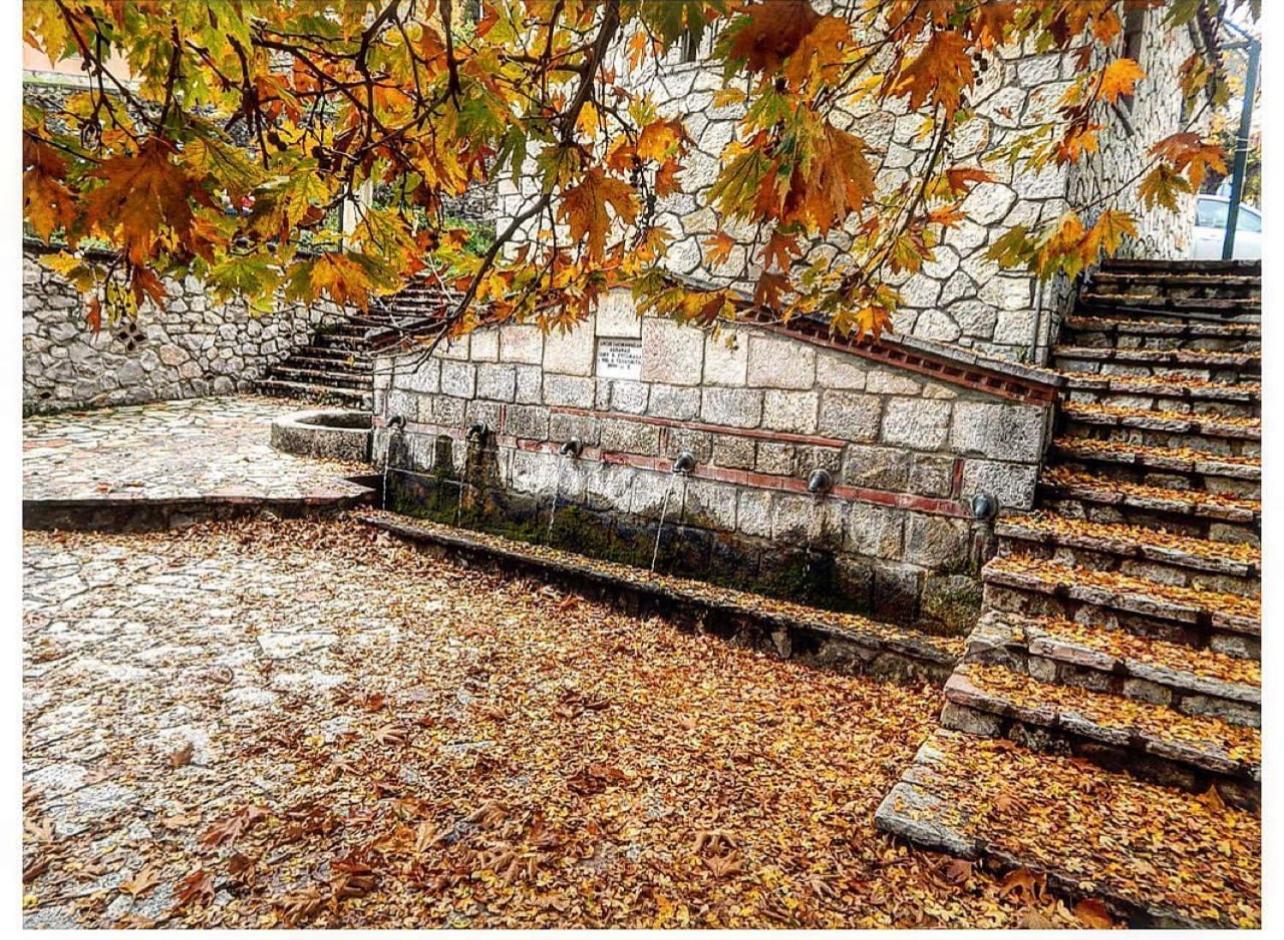 Asimina Guesthouse, Eptalofos Parnassos 외부 사진