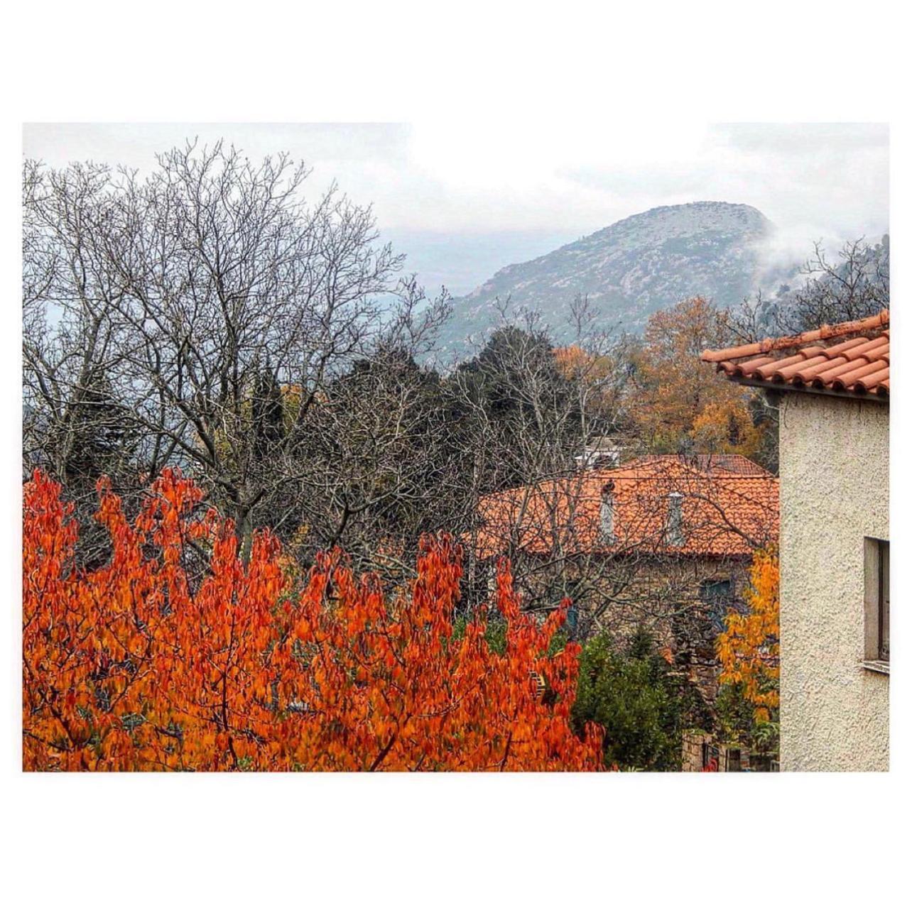 Asimina Guesthouse, Eptalofos Parnassos 외부 사진