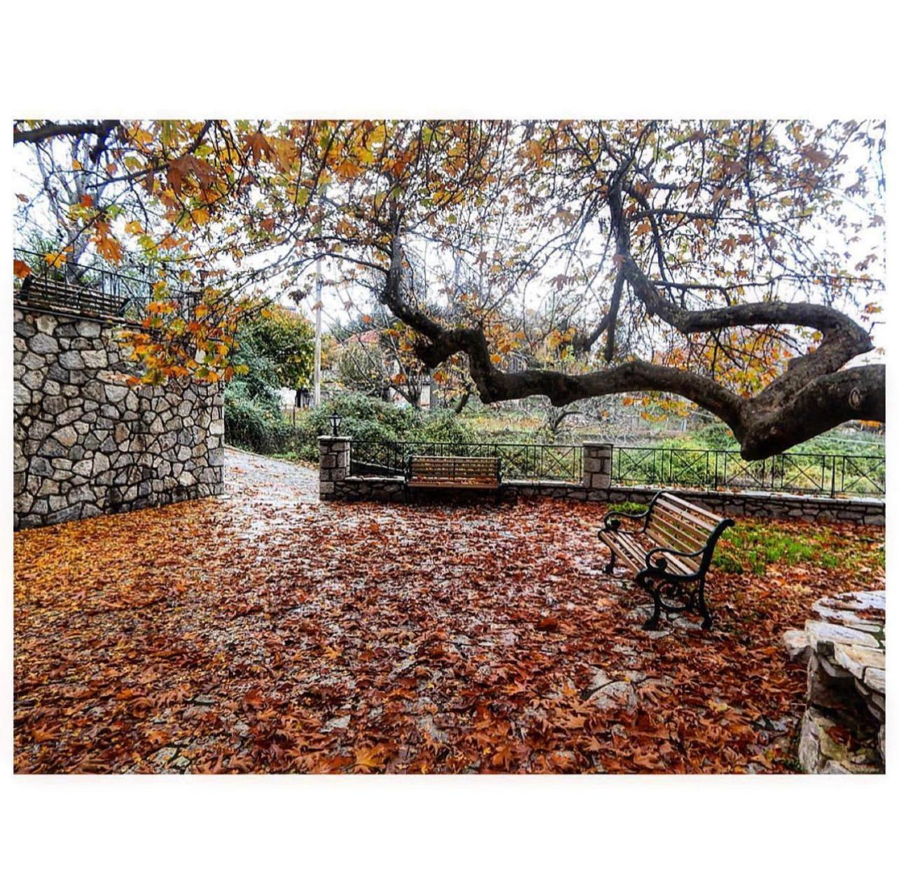 Asimina Guesthouse, Eptalofos Parnassos 외부 사진
