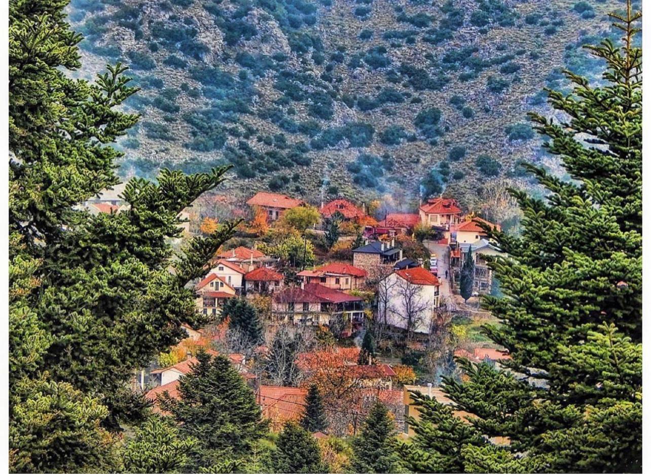 Asimina Guesthouse, Eptalofos Parnassos 외부 사진