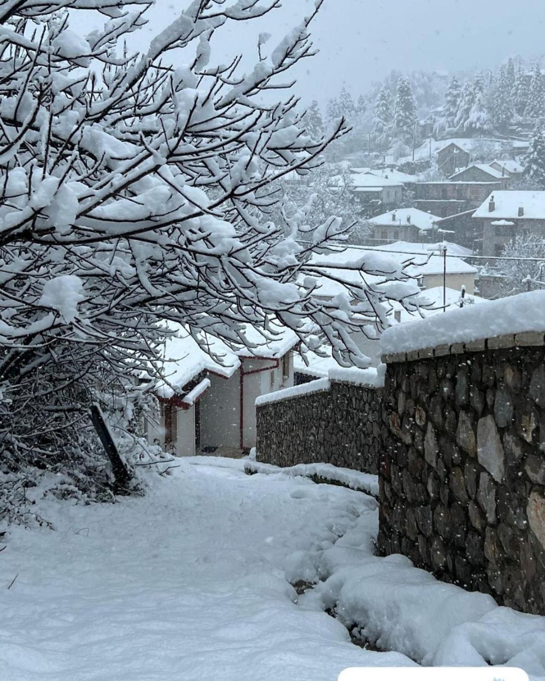 Asimina Guesthouse, Eptalofos Parnassos 외부 사진
