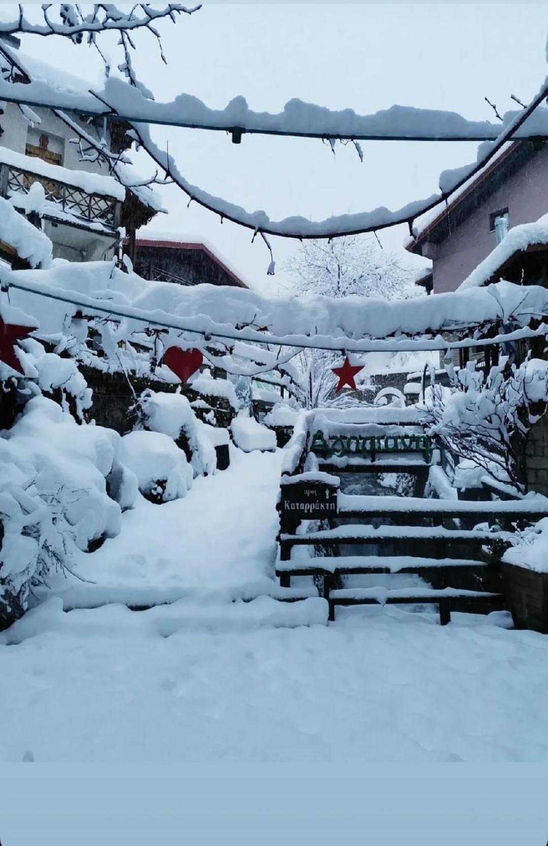 Asimina Guesthouse, Eptalofos Parnassos 외부 사진