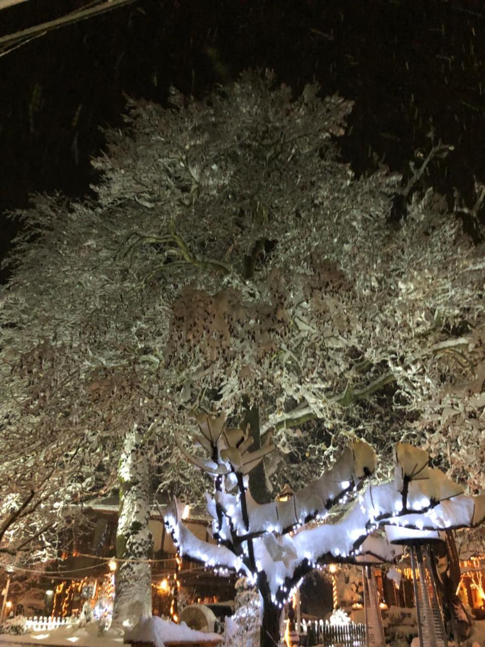 Asimina Guesthouse, Eptalofos Parnassos 외부 사진